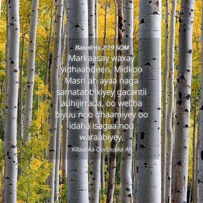 Picture 04 - Baxniintii 2:19 SOM - Markaasay waxay yidhaahdeen, Midkoo Masri ah ayaa - Bible Verse Picture
