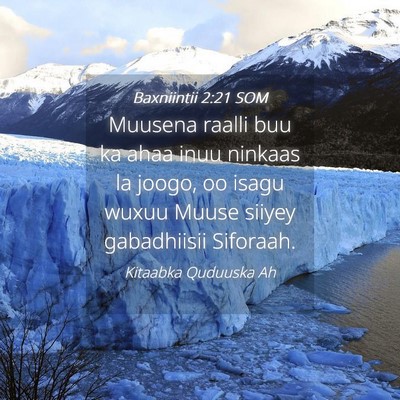 Picture 04 - Baxniintii 2:21 SOM - Muusena raalli buu ka ahaa inuu ninkaas la joogo, - Bible Verse Picture
