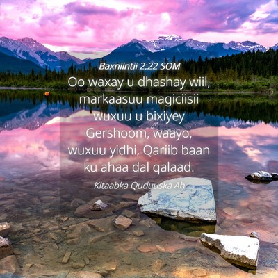 Picture 04 - Baxniintii 2:22 SOM - Oo waxay u dhashay wiil, markaasuu magiciisii - Bible Verse Picture