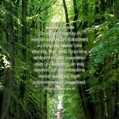 Picture 04 - Baxniintii 2:23 SOM - Oo waxay noqotay in waayahaas badan dabadeed uu - Bible Verse Picture