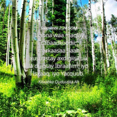 Picture 04 - Baxniintii 2:24 SOM - Ilaahna waa maqlay cabaadkoodii, markaasaa Ilaah - Bible Verse Picture