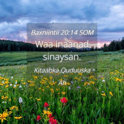 Picture 04 - Baxniintii 20:14 SOM - Waa inaanad - Bible Verse Picture