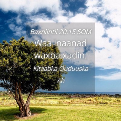 Picture 04 - Baxniintii 20:15 SOM - Waa inaanad waxba - Bible Verse Picture
