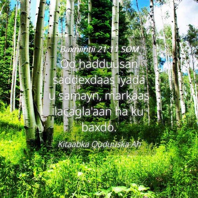 Picture 04 - Baxniintii 21:11 SOM - Oo hadduusan saddexdaas iyada u samayn, markaas - Bible Verse Picture