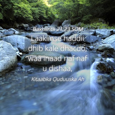 Picture 04 - Baxniintii 21:23 SOM - Laakiinse haddii dhib kale dhacdo, waa inaad naf - Bible Verse Picture