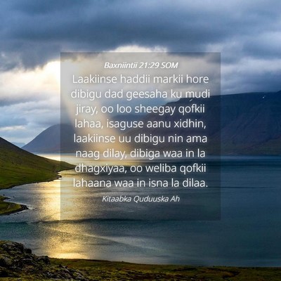 Picture 04 - Baxniintii 21:29 SOM - Laakiinse haddii markii hore dibigu dad geesaha - Bible Verse Picture