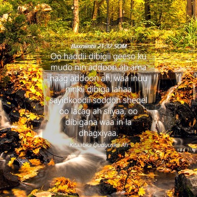 Picture 04 - Baxniintii 21:32 SOM - Oo haddii dibigii geeso ku mudo nin addoon ah ama - Bible Verse Picture