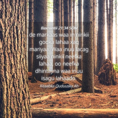Picture 04 - Baxniintii 21:34 SOM - de markaas waa in ninkii godka lahaa xaq mariyaa. - Bible Verse Picture