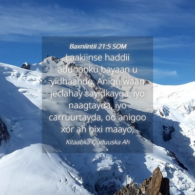 Picture 04 - Baxniintii 21:5 SOM - Laakiinse haddii addoonku bayaan u yidhaahdo, - Bible Verse Picture