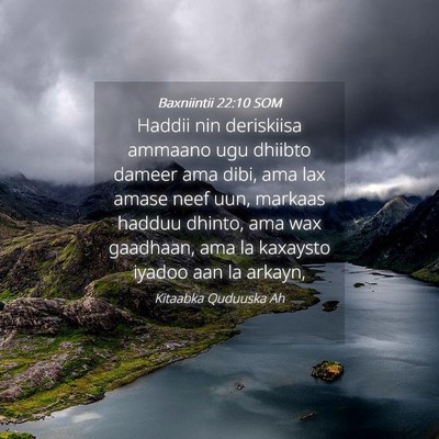 Picture 04 - Baxniintii 22:10 SOM - Haddii nin deriskiisa ammaano ugu dhiibto dameer - Bible Verse Picture