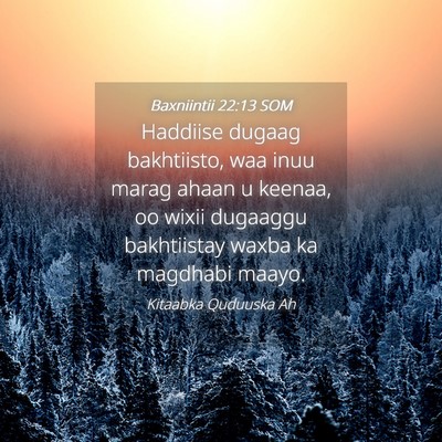 Picture 04 - Baxniintii 22:13 SOM - Haddiise dugaag bakhtiisto, waa inuu marag ahaan - Bible Verse Picture