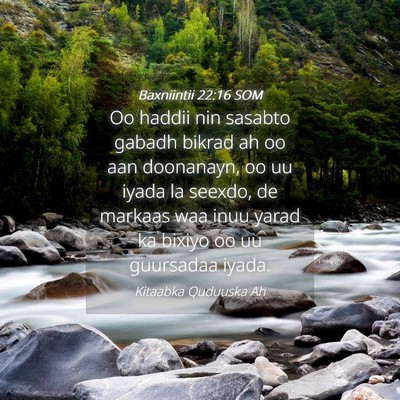 Picture 04 - Baxniintii 22:16 SOM - Oo haddii nin sasabto gabadh bikrad ah oo aan - Bible Verse Picture