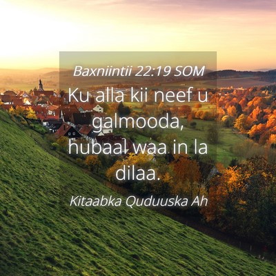 Picture 04 - Baxniintii 22:19 SOM - Ku alla kii neef u galmooda, hubaal waa in la - Bible Verse Picture