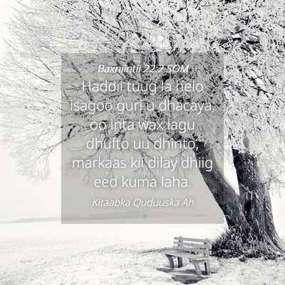 Picture 04 - Baxniintii 22:2 SOM - Haddii tuug la helo isagoo guri u dhacaya, oo - Bible Verse Picture