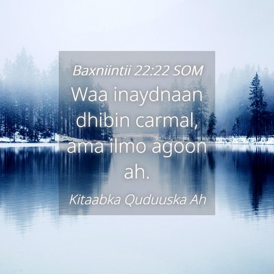 Picture 04 - Baxniintii 22:22 SOM - Waa inaydnaan dhibin carmal, ama ilmo agoon - Bible Verse Picture