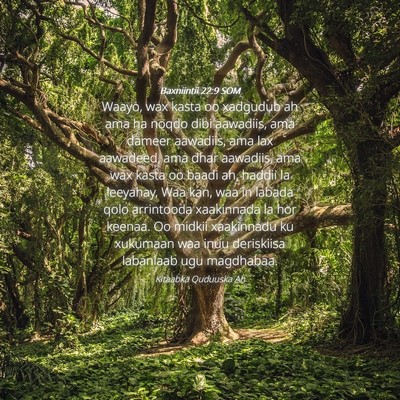 Picture 04 - Baxniintii 22:9 SOM - Waayo, wax kasta oo xadgudub ah ama ha noqdo dibi - Bible Verse Picture