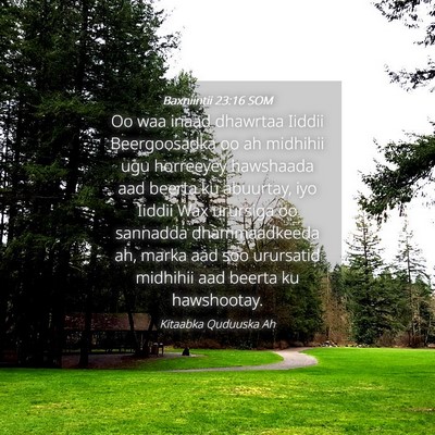 Picture 04 - Baxniintii 23:16 SOM - Oo waa inaad dhawrtaa Iiddii Beergoosadka oo ah - Bible Verse Picture