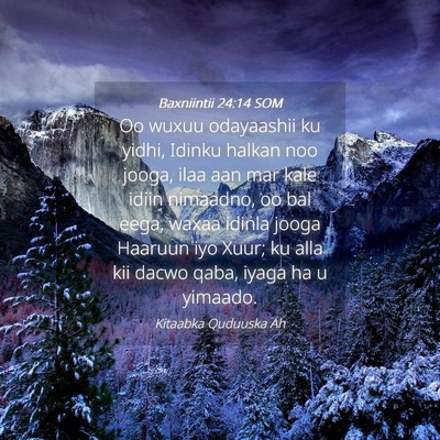 Picture 04 - Baxniintii 24:14 SOM - Oo wuxuu odayaashii ku yidhi, Idinku halkan noo - Bible Verse Picture