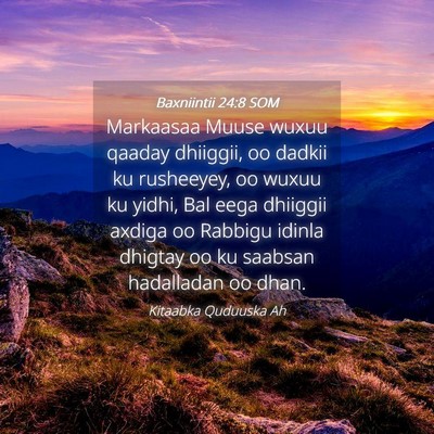 Picture 04 - Baxniintii 24:8 SOM - Markaasaa Muuse wuxuu qaaday dhiiggii, oo dadkii - Bible Verse Picture
