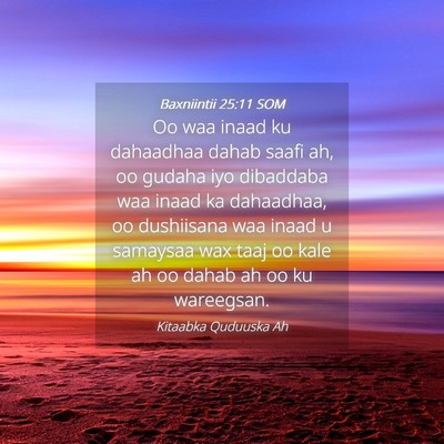 Picture 04 - Baxniintii 25:11 SOM - Oo waa inaad ku dahaadhaa dahab saafi ah, oo - Bible Verse Picture