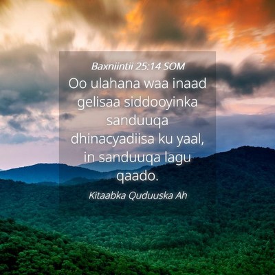 Picture 04 - Baxniintii 25:14 SOM - Oo ulahana waa inaad gelisaa siddooyinka sanduuqa - Bible Verse Picture