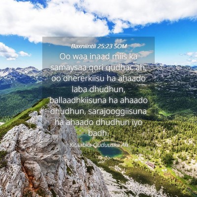Picture 04 - Baxniintii 25:23 SOM - Oo waa inaad miis ka samaysaa qori qudhac ah, oo - Bible Verse Picture