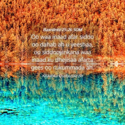 Picture 04 - Baxniintii 25:26 SOM - Oo waa inaad afar siddo oo dahab ah u yeeshaa, oo - Bible Verse Picture