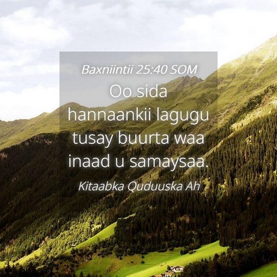 Picture 04 - Baxniintii 25:40 SOM - Oo sida hannaankii lagugu tusay buurta waa inaad - Bible Verse Picture