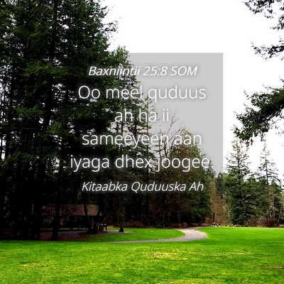 Picture 04 - Baxniintii 25:8 SOM - Oo meel quduus ah ha ii sameeyeen aan iyaga dhex - Bible Verse Picture