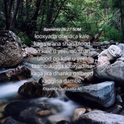 Picture 04 - Baxniintii 26:27 SOM - looxyada dhinaca kale kaga jirana shan ulood oo - Bible Verse Picture