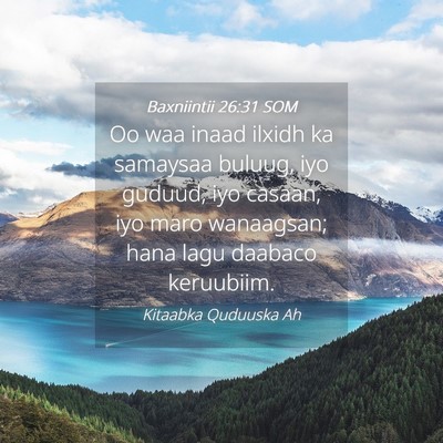 Picture 04 - Baxniintii 26:31 SOM - Oo waa inaad ilxidh ka samaysaa buluug, iyo - Bible Verse Picture