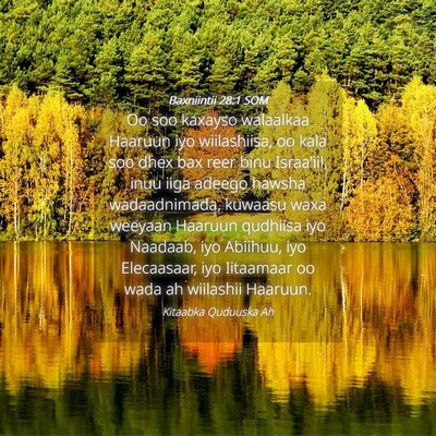 Picture 04 - Baxniintii 28:1 SOM - Oo soo kaxayso walaalkaa Haaruun iyo wiilashiisa, - Bible Verse Picture