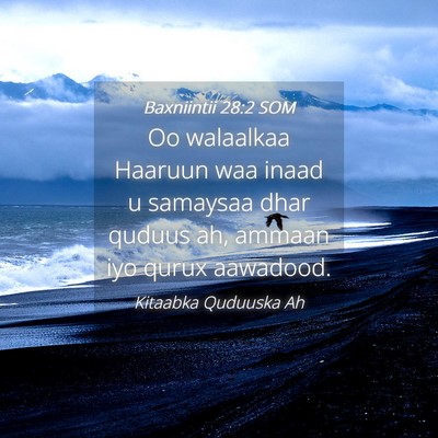Picture 04 - Baxniintii 28:2 SOM - Oo walaalkaa Haaruun waa inaad u samaysaa dhar - Bible Verse Picture