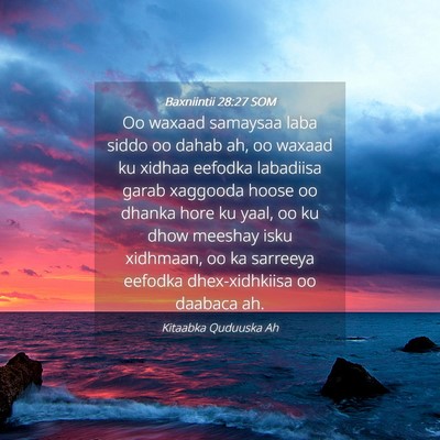 Picture 04 - Baxniintii 28:27 SOM - Oo waxaad samaysaa laba siddo oo dahab ah, oo - Bible Verse Picture