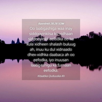 Picture 04 - Baxniintii 28:28 SOM - Oo laabgashiga waa inay siddooyinkiisa ku xidhaan - Bible Verse Picture