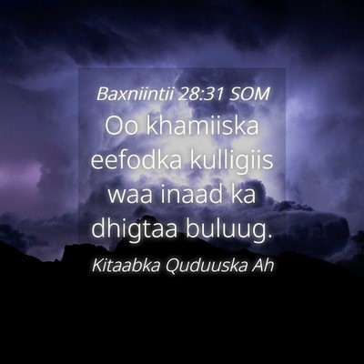 Picture 04 - Baxniintii 28:31 SOM - Oo khamiiska eefodka kulligiis waa inaad ka - Bible Verse Picture