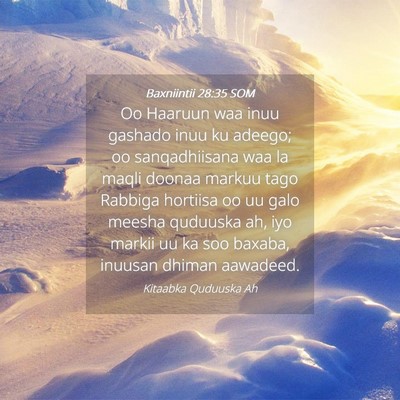 Picture 04 - Baxniintii 28:35 SOM - Oo Haaruun waa inuu gashado inuu ku adeego; oo - Bible Verse Picture