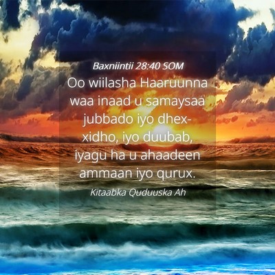 Picture 04 - Baxniintii 28:40 SOM - Oo wiilasha Haaruunna waa inaad u samaysaa - Bible Verse Picture