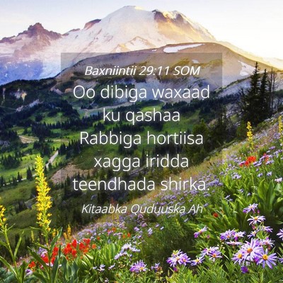 Picture 04 - Baxniintii 29:11 SOM - Oo dibiga waxaad ku qashaa Rabbiga hortiisa xagga - Bible Verse Picture