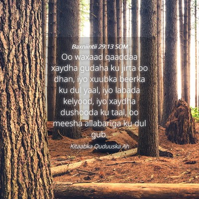 Picture 04 - Baxniintii 29:13 SOM - Oo waxaad qaaddaa xaydha gudaha ku jirta oo dhan, - Bible Verse Picture