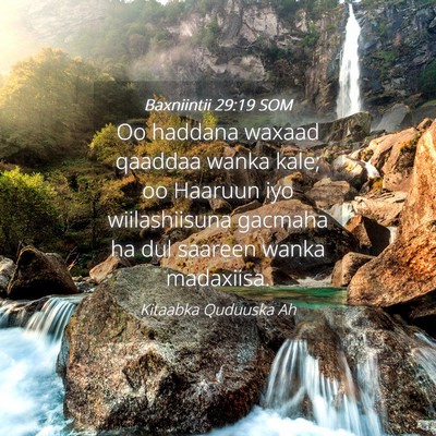 Picture 04 - Baxniintii 29:19 SOM - Oo haddana waxaad qaaddaa wanka kale; oo Haaruun - Bible Verse Picture