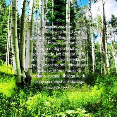 Picture 04 - Baxniintii 29:20 SOM - Oo markaas waa inaad wanka gowracdaa, oo - Bible Verse Picture