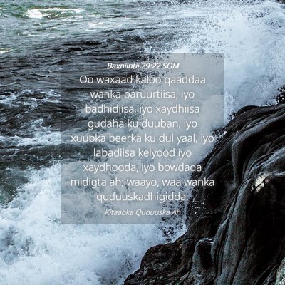 Picture 04 - Baxniintii 29:22 SOM - Oo waxaad kaloo qaaddaa wanka baruurtiisa, iyo - Bible Verse Picture