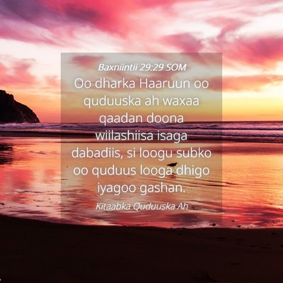 Picture 04 - Baxniintii 29:29 SOM - Oo dharka Haaruun oo quduuska ah waxaa qaadan - Bible Verse Picture