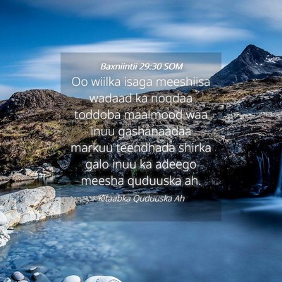 Picture 04 - Baxniintii 29:30 SOM - Oo wiilka isaga meeshiisa wadaad ka noqdaa - Bible Verse Picture