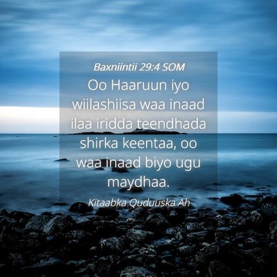 Picture 04 - Baxniintii 29:4 SOM - Oo Haaruun iyo wiilashiisa waa inaad ilaa iridda - Bible Verse Picture