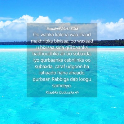 Picture 04 - Baxniintii 29:41 SOM - Oo wanka kalena waa inaad makhribka bixisaa, oo - Bible Verse Picture