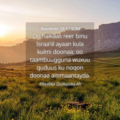 Picture 04 - Baxniintii 29:43 SOM - Oo halkaas reer binu Israa'iil ayaan kula kulmi - Bible Verse Picture