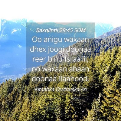 Picture 04 - Baxniintii 29:45 SOM - Oo anigu waxaan dhex joogi doonaa reer binu - Bible Verse Picture