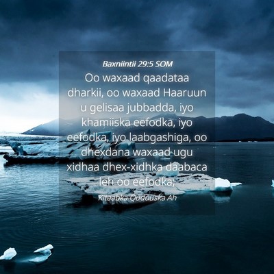 Picture 04 - Baxniintii 29:5 SOM - Oo waxaad qaadataa dharkii, oo waxaad Haaruun u - Bible Verse Picture